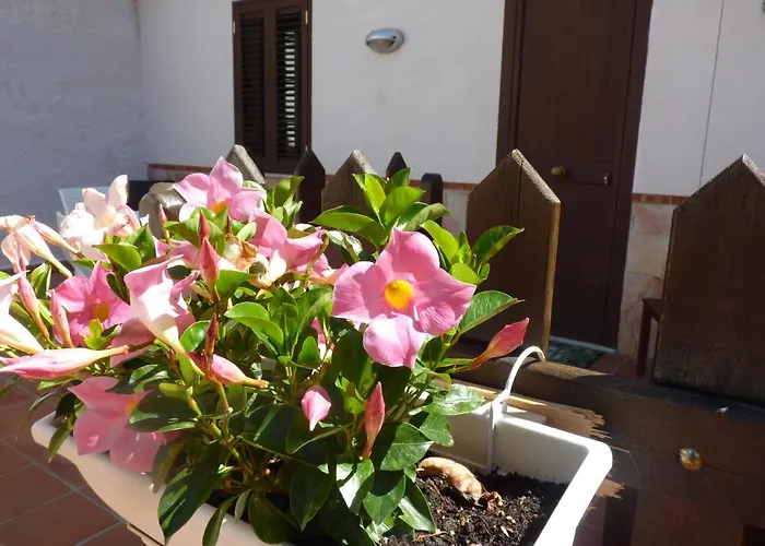 Rosa Luxury Mondello